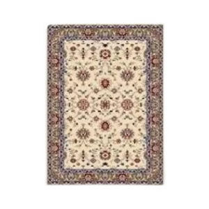 Professional Rug/Carpet Cleaning