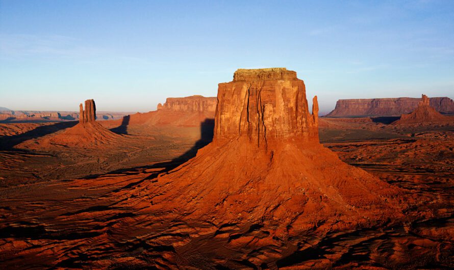 Top Digital Solutions to Grow Your Online Business